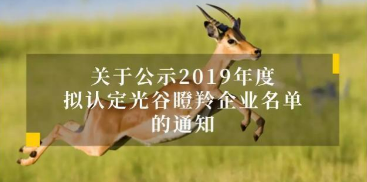 格物优信获奖